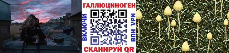 Псилоцибиновые грибы мицелий  где купить наркоту  Покачи 
